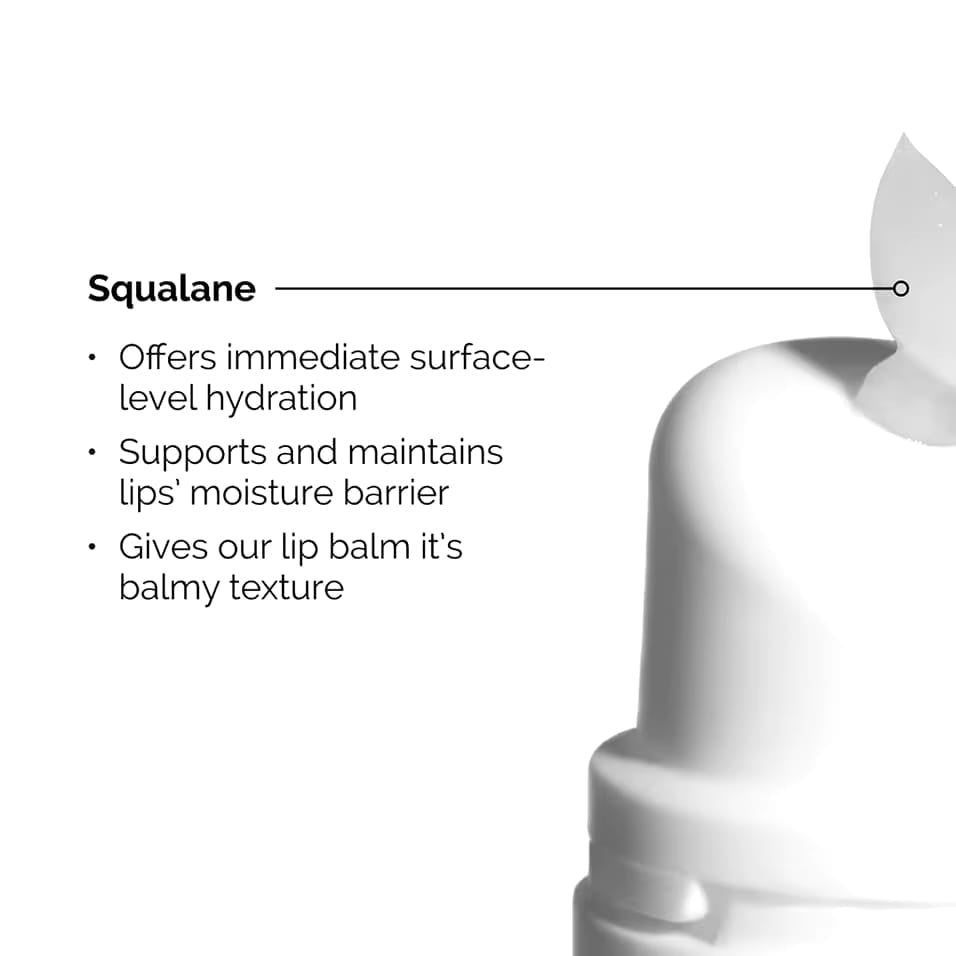 The Ordinary Squalane and Amino Acids Lip Balm